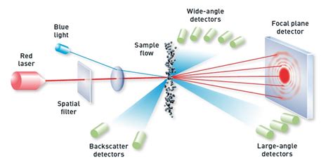 dry powder laser diffraction